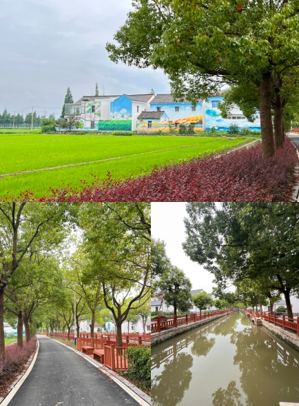 微信截图_20230705173137.png