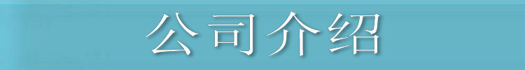 公司介绍